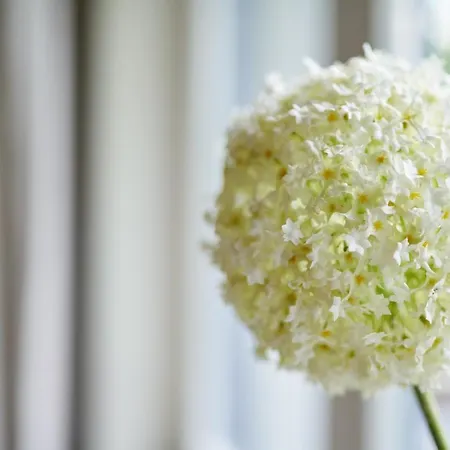 Brodthage, App. 3 アパート *