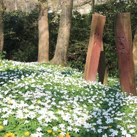 Brodthage, App. 3 Walkenried