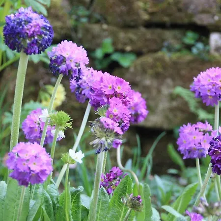 Brodthage, App. 3 アパート *