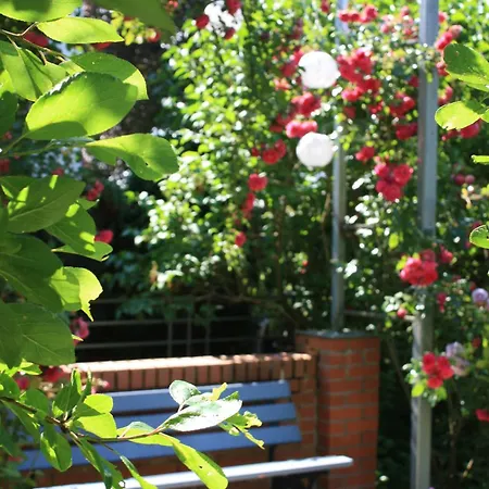 Brodthage, App. 3 Walkenried