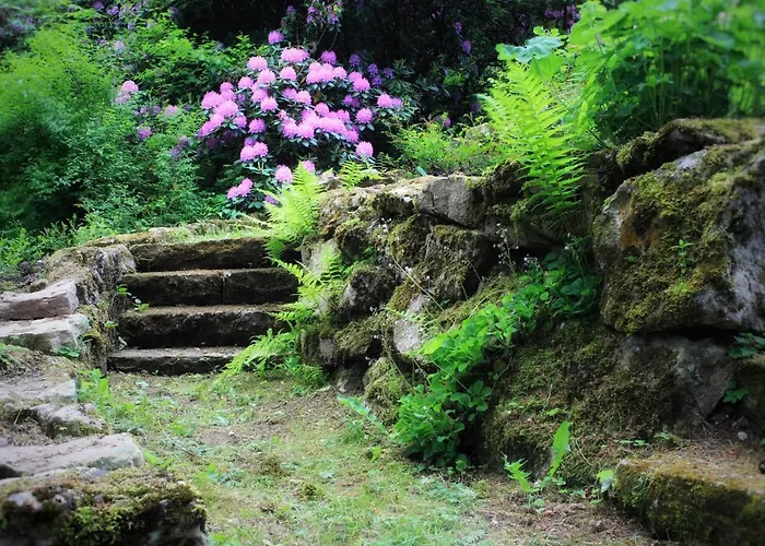 Brodthage, App. 3 Διαμέρισμα