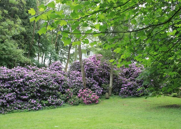 Brodthage, App. 3 * Walkenried