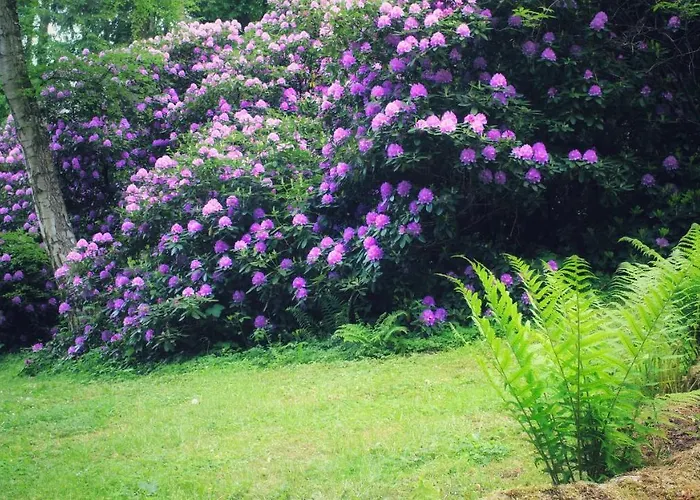 Brodthage, App. 3 Walkenried