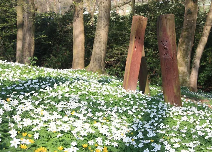 Brodthage, App. 3 Walkenried