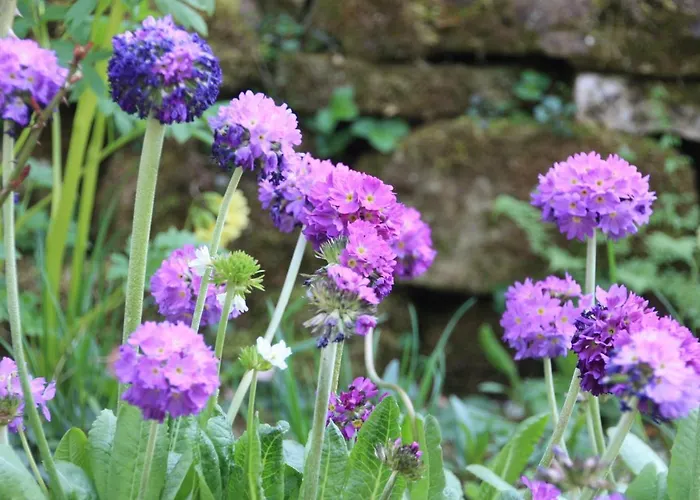 Brodthage, App. 3 Διαμέρισμα *