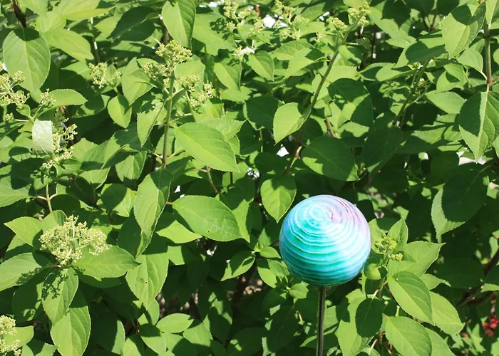 Brodthage, App. 3 Διαμέρισμα